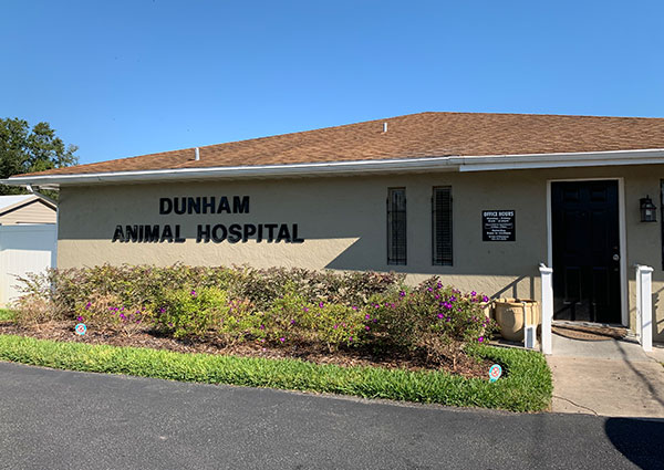 Carousel Slide 6: Pet Veterinarian in Winter Haven